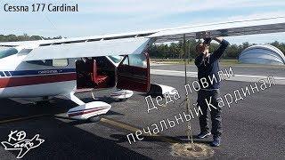 Деда ловили - печальный Кардинал. Cessna 177. KD-aero