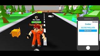 СЕКРЕТНЫЕ ПРОМОКОДЫ НА SKY CITY ROBLOX