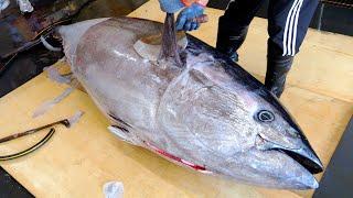 337kg GIANT Bluefin Tuna! Luxurious Sashimi, Sushi / Master’s Cutting Show! | Taiwanese street food