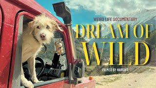 A guy in 30s living weird life inside his car in the wild | DOCUMENTARY | 'Dream of wild'