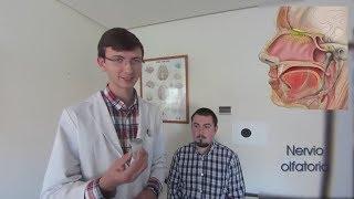 Exploración neurología I. Pares craneales