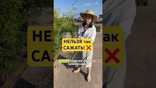 САМАЯ главная ОШИБКА при посадке!