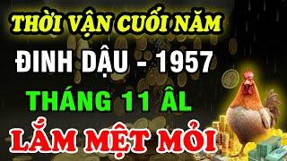 Tử Vi Tháng 11 ÂL Tuổi Đinh Dậu 1957: Vận Trình Lắm Điều Mệt Mỏi, Cẩn Trọng Từng Bước Bảo Vệ Tài Lộc