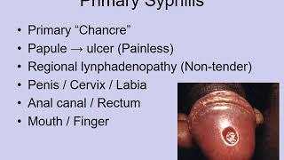 Syphilis - Introduction & Clinical Stages