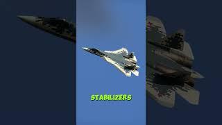 Is the Su-57 a copycat?