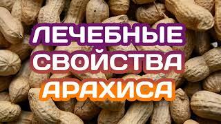 Арахис. Полезные свойства. Противопоказания.