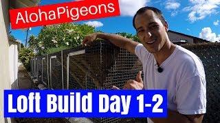 Homing Racing Pigeon Loft Construction Day 1 & 2