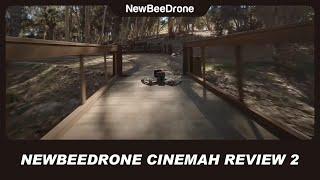 NewBeeDrone CineMah Review 2