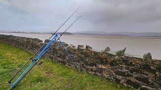 Huge Winter Flounder | River Leven | Cumbria