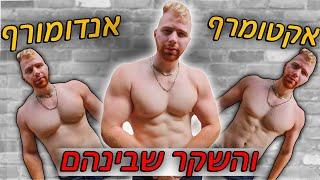 סוגי גוף - האמת.