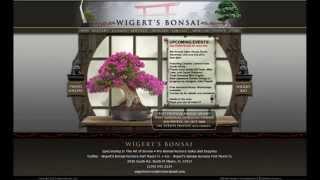 Wigerts Bonsai Nursery by Brasspineapple Productions LLC 2014