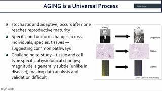 Mitochondrial Dysfunction in Retinal Aging & Disease, Anand Swaroop, PhD - UCI CTVR Research Seminar
