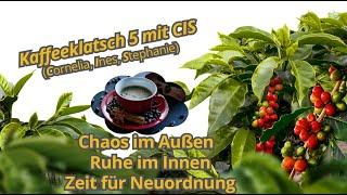 KAFFEEKLATSCH MIT CIS -  Weihnachts-Kaffeeklatsch - So wirst du zum Manifestations-Profi für 2025