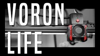 Voron life - a film, by Madcat