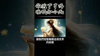 你放下了嗎？睡眠如小死，醒來如重生！修行，從睡眠開始 #開悟 #覺醒