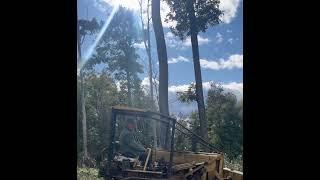 1958 John Deere 420 clearing wood on the mountain. Life is Wood!