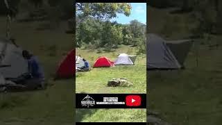 CAMPING en Bosque encantado en GUATAVITA  #CampingGuatavita #EmbalseTomine #Naturaleza