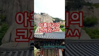 불교에서 큰 의미가 부여되는 코끼리~  미륵사 암봉엔 아홉마리의 코끼리가 있다한다~  난...아무리봐도 두마리밖에..ㅎ