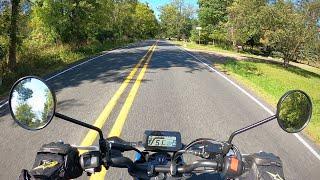 2022 Honda Grom - POV Test Ride