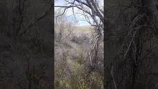 This Dip Between The Dump And Down East. #outdoors #prairie #pineridge #southdakota