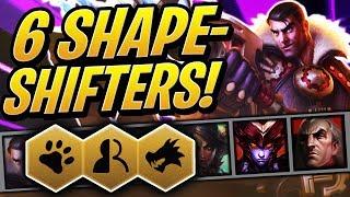 THE 6 SHAPESHIFTERS DREAM! | Teamfight Tactics | TFT | League of Legends Auto Chess