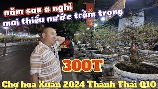 Chợ hoa Xuân Tết 2024 Q10 bãi mai Thành Thái vắng vẻ vườn mai Phương Bình than trời cây mai khô nước