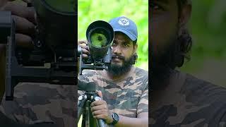 Lineated Barbet Nest | Wildlife Photography  Shorts | Wildlife Photography | #photography #birds |