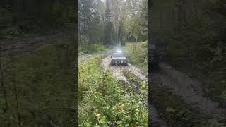 #shorts #4x4 #безправил #кузбасс #шортс