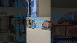 4호선 밥통이의 휴대폰 #아이브 #뮤직스토리 #웃긴영상 #신차