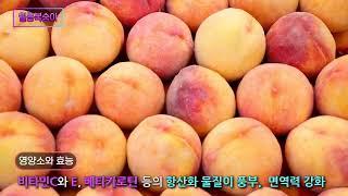 월림심리치유마을 복숭아