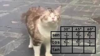 Aquela música que te salva na prova! (funk da trigonometria)