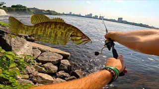 Fishing the Smallmouth Bass! River bank fishing in Ottawa - Multispecies fishing