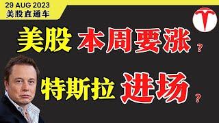 美股本周要涨？特斯拉进场？【美股直通车】2023.08.29 #sam谈股 #美股分析 #tsla #nvda #特斯拉 #vinfast #特斯拉股票 #庄家 #特斯拉分析