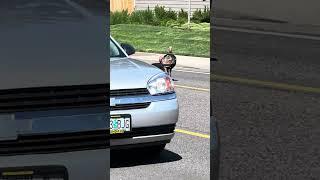 #short Turkey crossing is a regular thing here in Eugene! (OFL 2805)