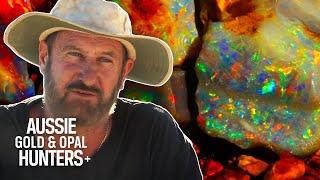 The Blacklighters Discover Full Spectrum White Opal Worth $20,000 | Outback Opal Hunters