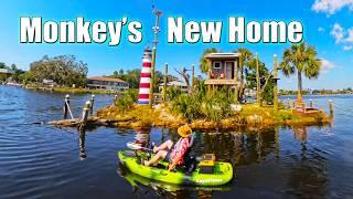 Revisiting Monkey Island after Hurricane Milton: Homosassa, FL