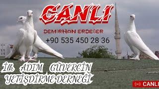 🩸TÜRKİYE 🩸 ANKARA 🩸 SİNCAN 🩸 MEZAT OYUNKUŞU CANLI MEZAT 