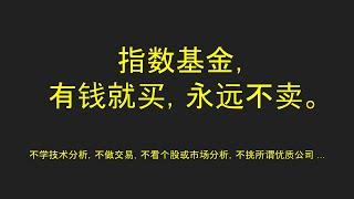 美股投资正确入门：指数基金，持续买进，永远不卖｜VOO｜IVV｜单一基金定理｜买下市场｜长期持有VOO而不是IWM.RSP或者VTI