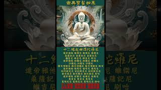 十二緣起相應陀羅尼 | 速滅業障 解脫生死輪迴 廣結善緣 利益無邊眾生