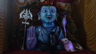 The Kalipujo Vlog | kali puja 2023 | Mymensingh puja | Travel With Prokash