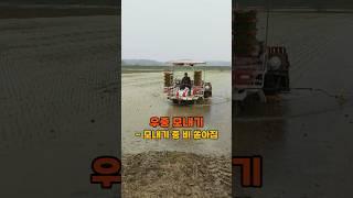 모내기 시작하자마자 비 옴, 그래도 하던건 마무리