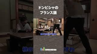 ドンピシャのフランス語【どこイキ和歌山編】 #shorts