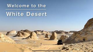 A White Desert Safari / Bahariya Oasis 