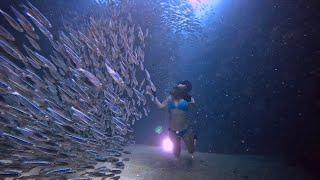 Freediving Girl with Thousands of Sardines