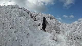 황홀한 설산을 같이 올라 봐요~ 영남알프스 영축산 최고의 설경