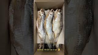 Набор «ДЛЯ ДРУГА» Вкуснейшая Астраханская вяленая рыбка#рыба #рыбалка #еда #вобла