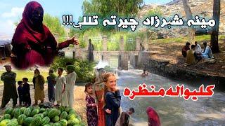 ځانګړې خپرونه له کامې څخه مشهوره په وړې امریکا  (Humayun Mama) Nangarhar Kama Shir yakh