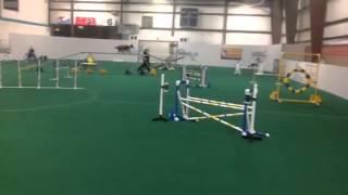 Agility North Olmsted at the soccer Sportslex