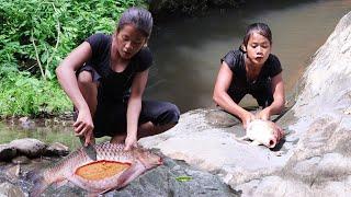 Survival in rainforest: Catch fish in Waterfall for food - Cooking fish Spicy delicious & Egg fish