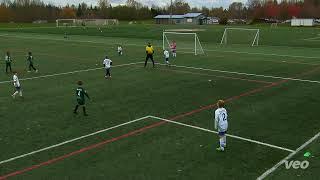 B15G vs Harbor